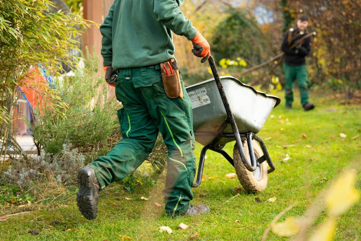 Crew member pushing a wheelbarrow through a planted bed